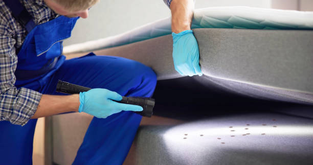 Professional Pest Control in Lampeter, PA