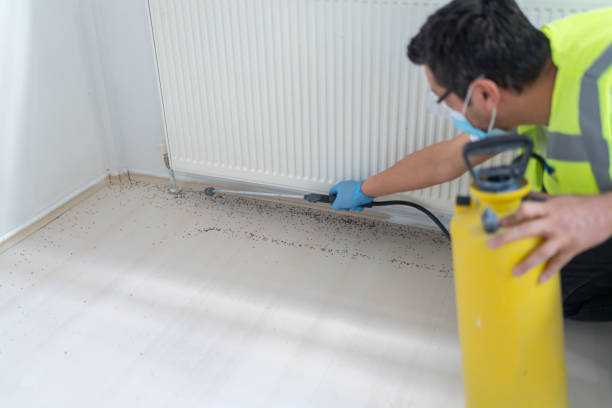 Best Ant Control Services  in Lampeter, PA