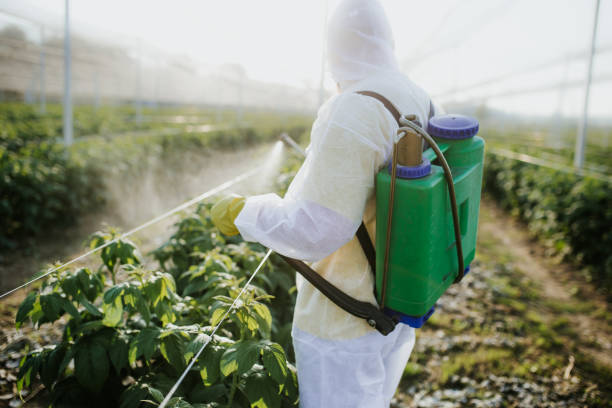 Best Affordable Pest Control Services  in Lampeter, PA